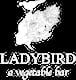 Ladybird