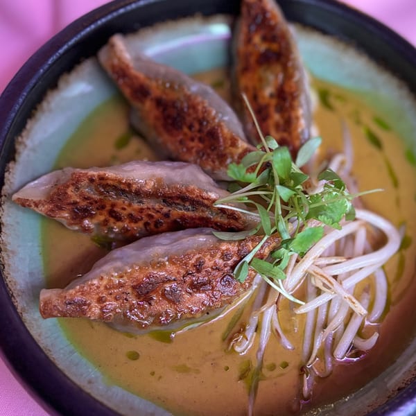 Pan-fried vegan dumplings with bean sprouts and microgreens in a savory broth at Ladybird.